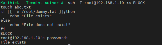 通过SSH运行命令